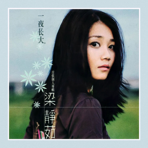 婷婷中文字幕在线观看
