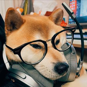 婷婷中文字幕在线观看
